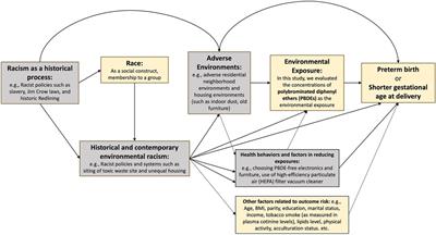 Racial and ethnic disparities in preterm birth: a mediation analysis incorporating mixtures of polybrominated diphenyl ethers